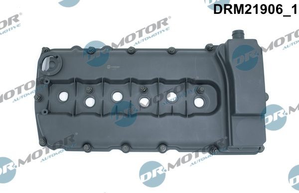 DR.MOTOR AUTOMOTIVE DRM21906 Rocker cover with valve cover gasket, with bolts/screws