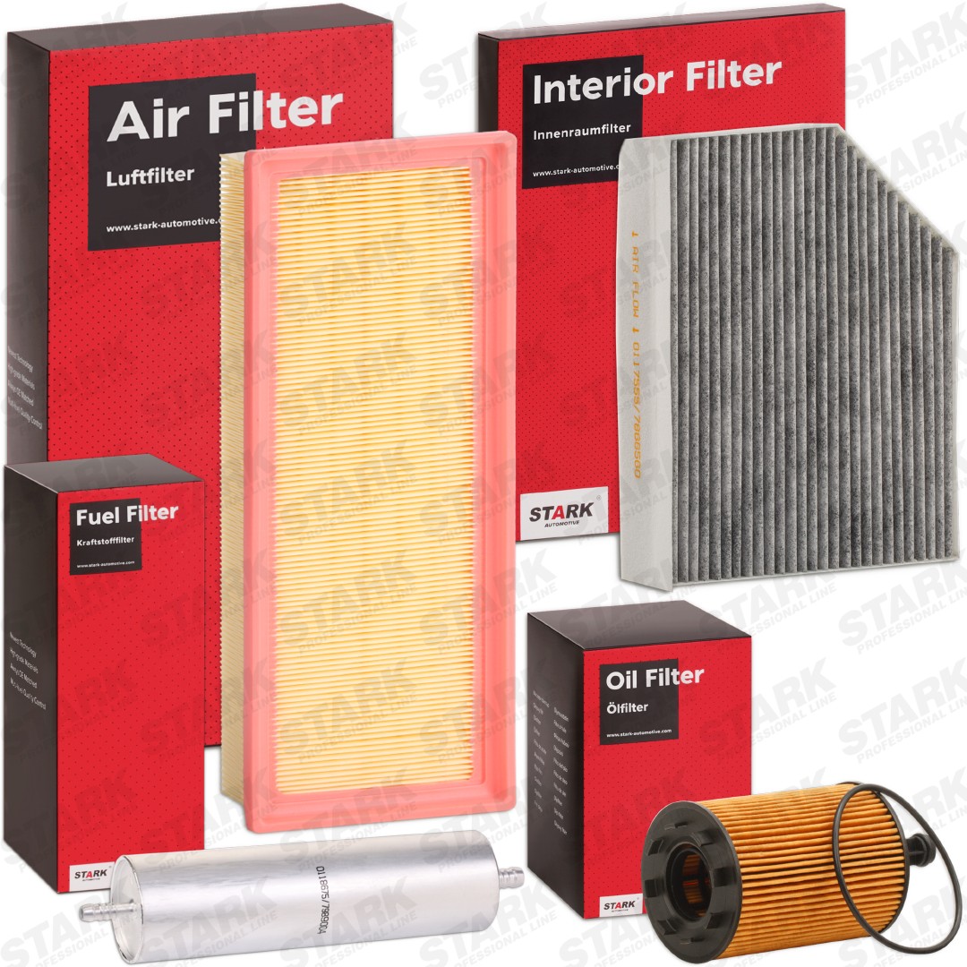 STARK SKFS-18880194 Fuel filter 80A127399B