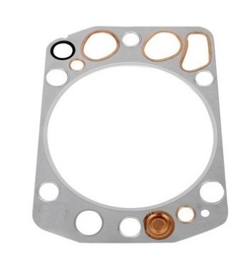 LEMA 10731.00 Gasket, cylinder head cheap in online store