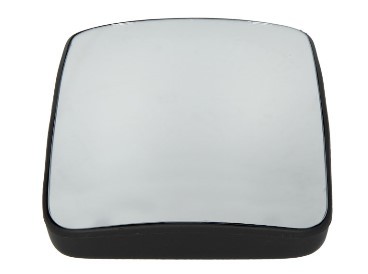 RYWAL 6900 Spiegelglas, Weitwinkelspiegel für DAF XF 95 LKW in Original Qualität
