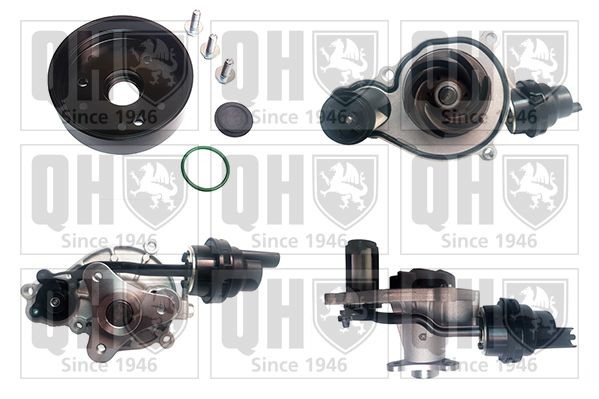 QUINTON HAZELL with gaskets/seals, Mechanical Water pumps QCP3955 buy