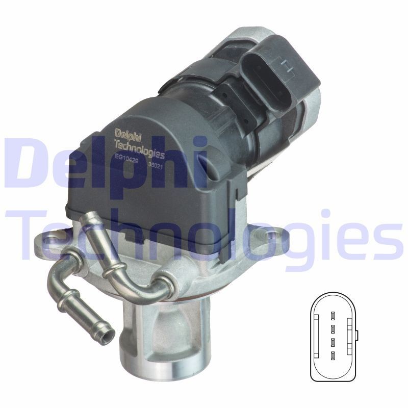 DELPHI without EGR cooler Exhaust gas recirculation valve EG10429-12B1 buy