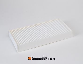 TECNOCAR E809 Pollen filter 05058040 AA