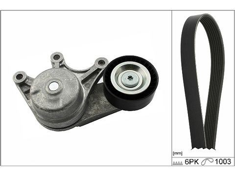 Original INA Poly v-belt kit 529 0483 10 for BMW X3