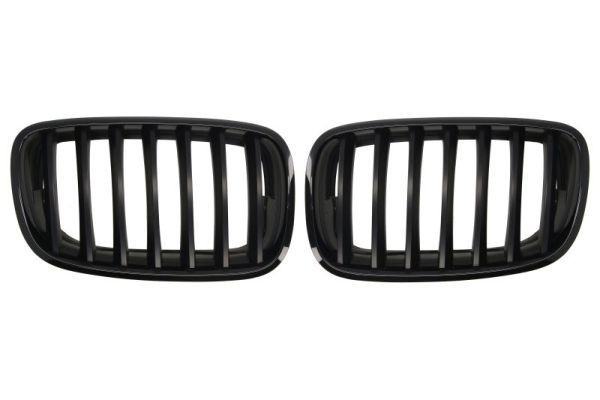 BLIC 6502-07-0096990KP BMW X5 2022 Grille assembly