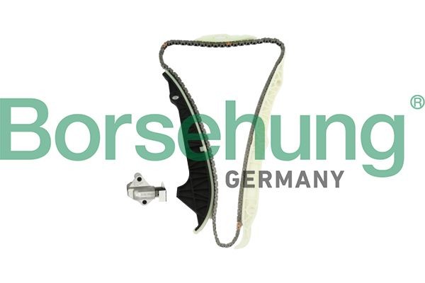 Volkswagen MULTIVAN Timing chain kit Borsehung B10203 cheap