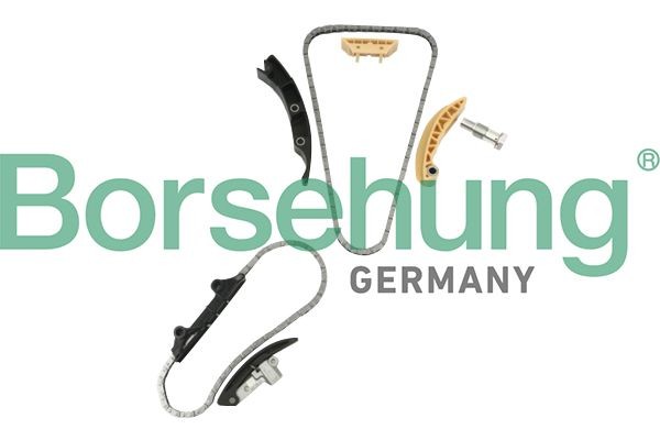 Volkswagen MULTIVAN Timing chain kit Borsehung B10207 cheap