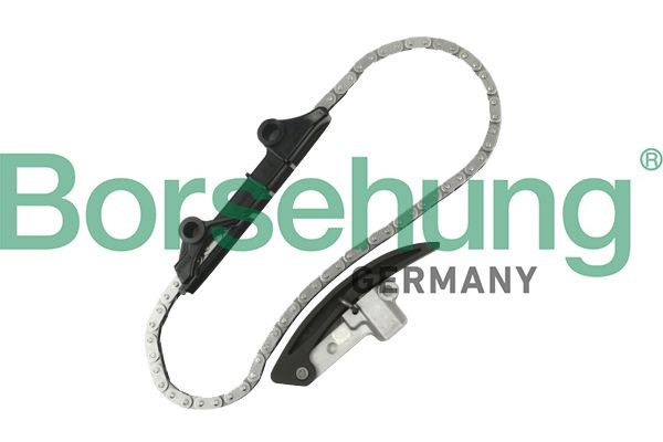 Borsehung B10209 Timing chain set VW Passat 3bg Saloon 2.3 V5 4motion 170 hp Petrol 2001 price
