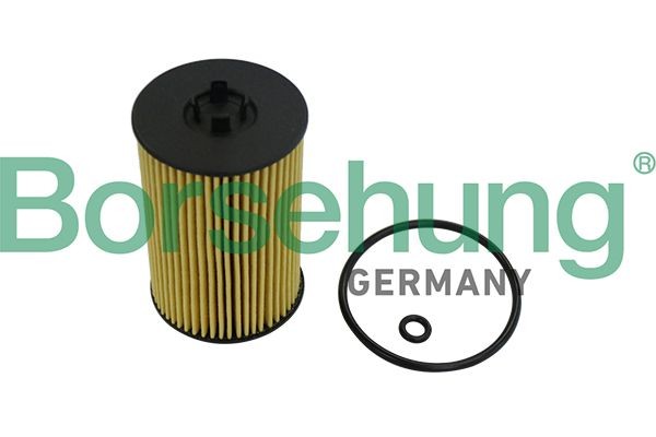 Borsehung B10532 Oil filter Filter Insert