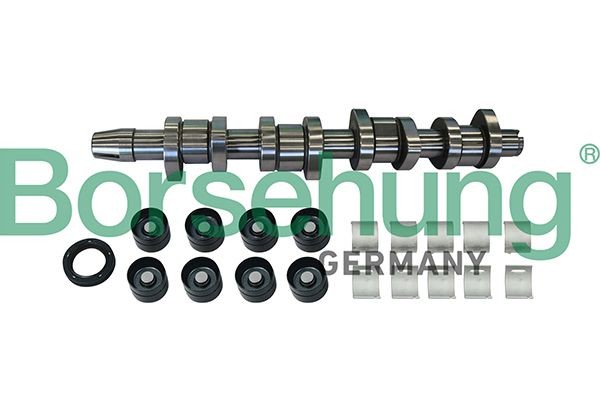 Borsehung B11307 Camshaft Kit without valves
