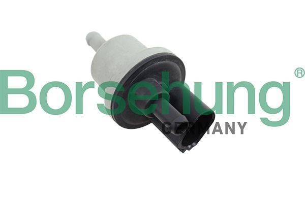 Borsehung Valve, activated carbon filter B12188 buy
