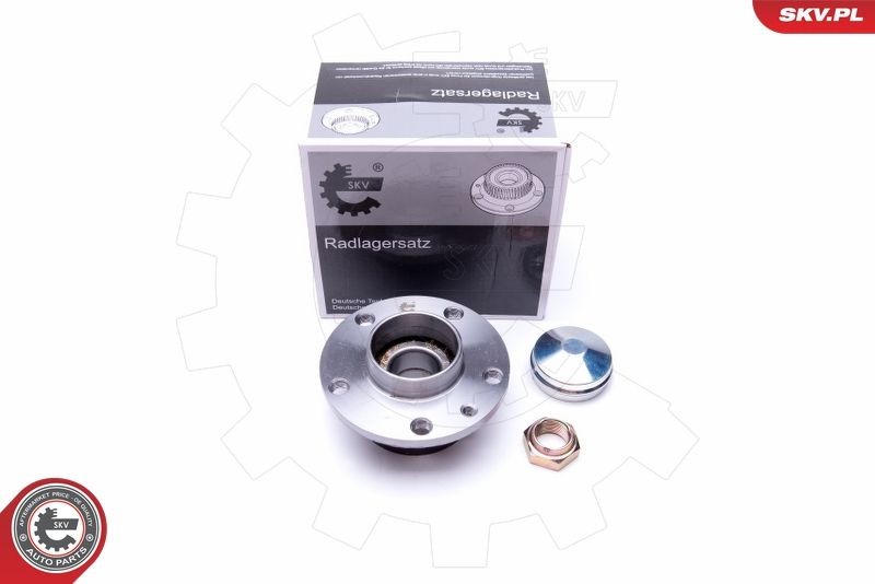 Great value for money - ESEN SKV Wheel bearing kit 29SKV300