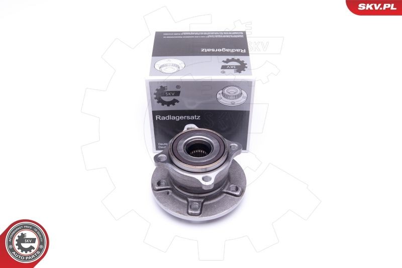 Great value for money - ESEN SKV Wheel bearing kit 29SKV315