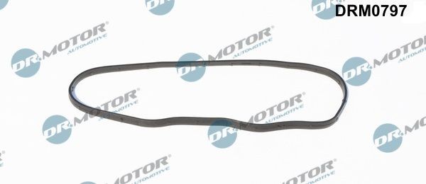 DR.MOTOR AUTOMOTIVE DRM0797 Timing case gasket IVECO MASSIF 2008 in original quality