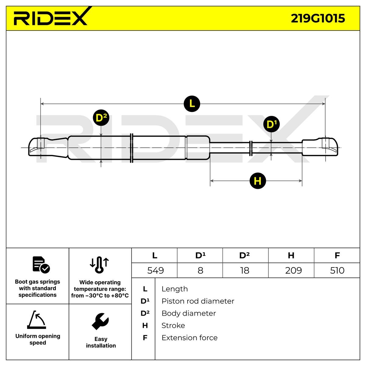 219G1015 Boot gas struts RIDEX 219G1015 review and test
