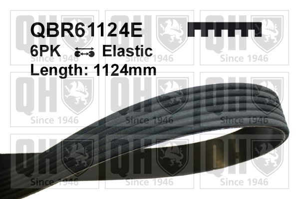QUINTON HAZELL 1124mm, 6, Elastic Number of ribs: 6, Length: 1124mm Alternator belt QBR61124E buy