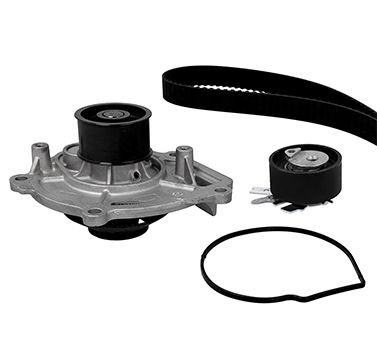 Chrysler GRAND VOYAGER Water pump and timing belt kit METELLI 30-1076-1 cheap