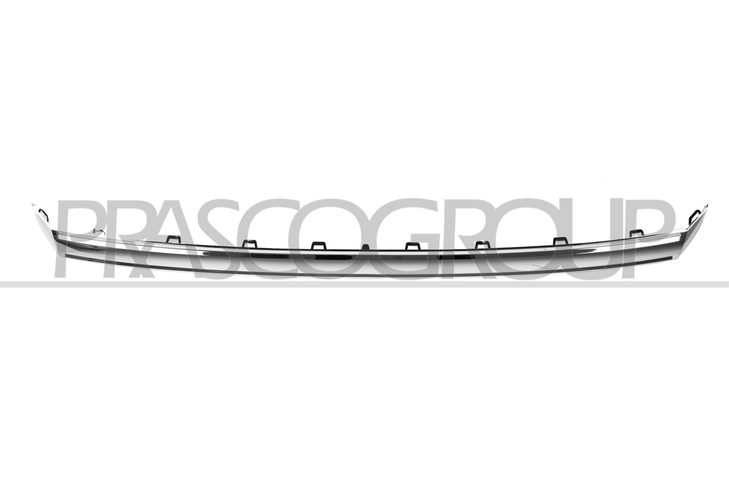 PRASCO Trim / Protective Strip, radiator grille VG9562305 Volkswagen CRAFTER 2016