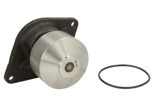 THERMOTEC Water pump for engine WP-NH001