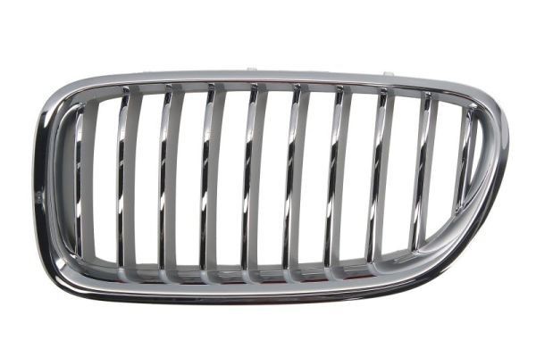 Great value for money - BLIC Radiator Grille 6502-07-0067997CP