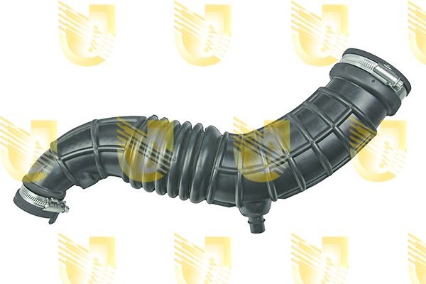 UNIGOM R4665 Intake pipe, air filter Renault Scenic 3 1.5 dCi 106 hp Diesel 2012 price
