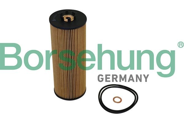 B10544 Borsehung Oil filters buy cheap