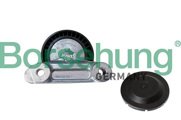 Borsehung with cap Tensioner pulley, v-ribbed belt B12202 buy
