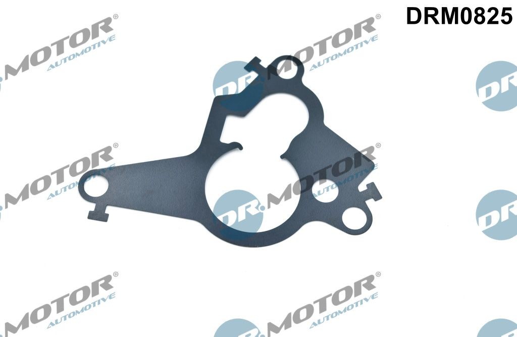 DR.MOTOR AUTOMOTIVE DRM0825 Vacuum pump, brake system RENAULT MEGANE 2014 price