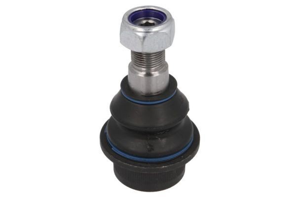 REINHOCH both sides, 23,4mm Cone Size: 23,4mm Suspension ball joint RH03-0020 buy