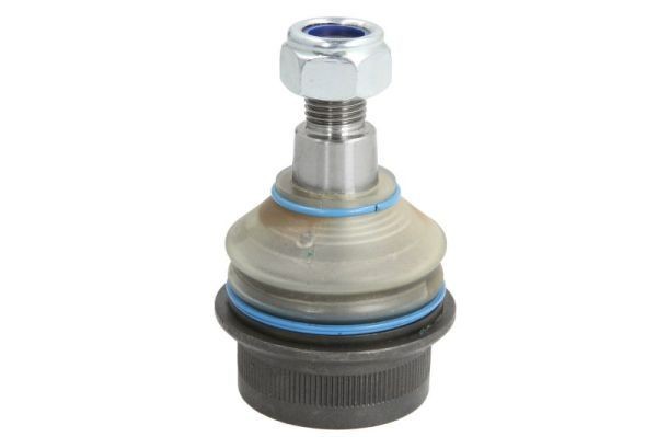 REINHOCH both sides, 16,1mm Cone Size: 16,1mm Suspension ball joint RH03-3004 buy