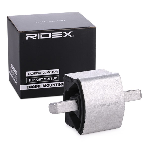 RIDEX Mounting, manual transmission 249M0170