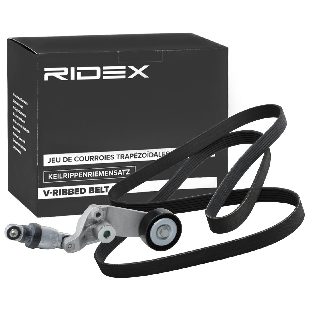 RIDEX 542R0701 Tensioner pulley 16620-22013