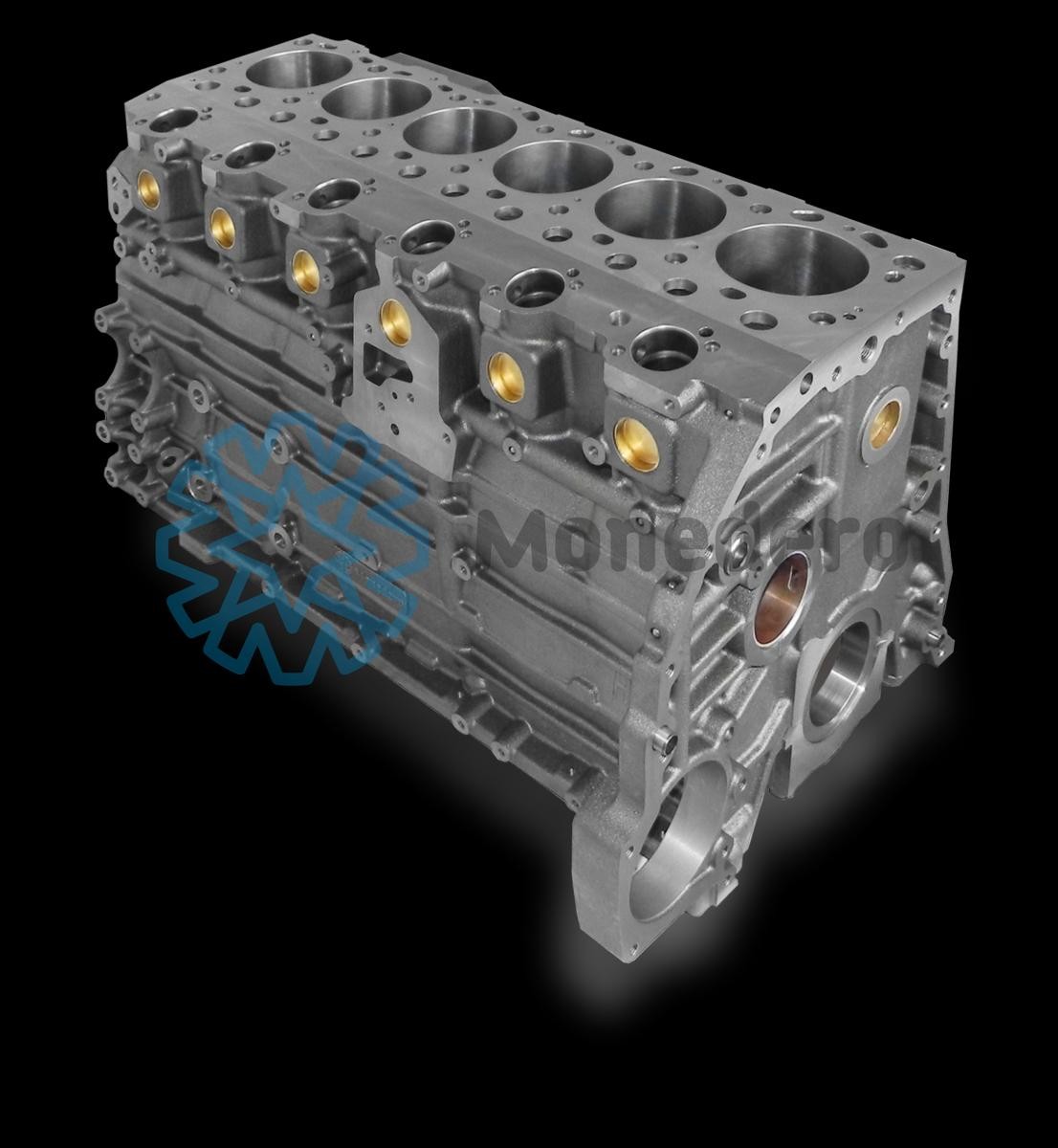 MONEDERO 10010000013 Engine block Cast Iron