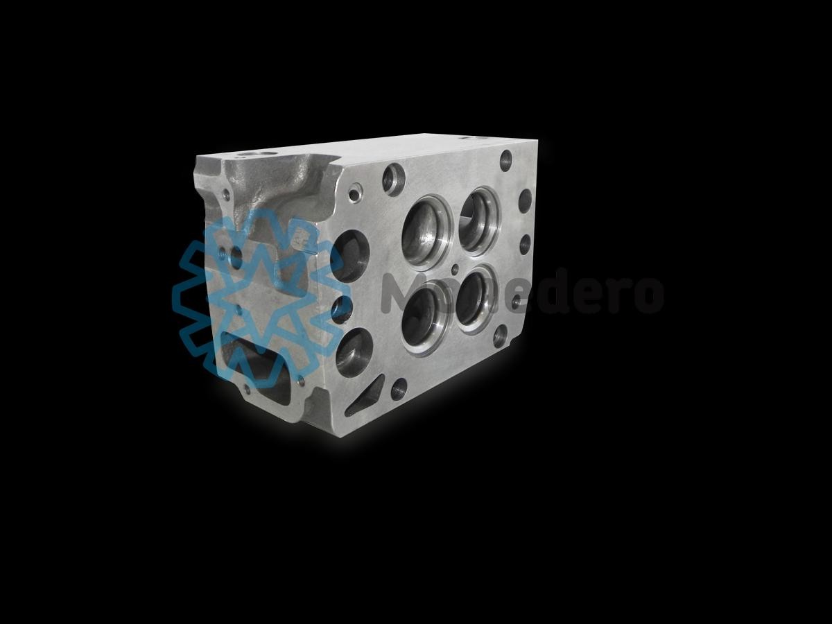 MONEDERO Cast Iron, without valves, without valve springs Cylinder Head 20012000013 buy