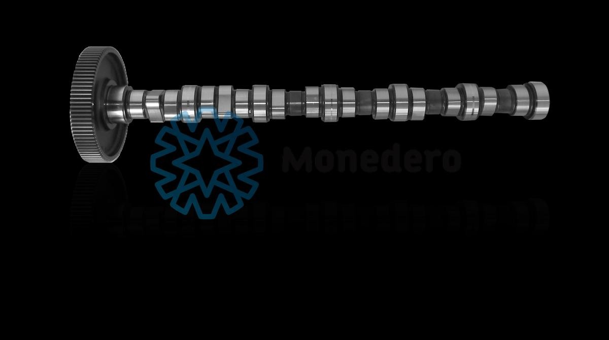 MONEDERO 50013000019 Nockenwelle für VOLVO FE LKW in Original Qualität