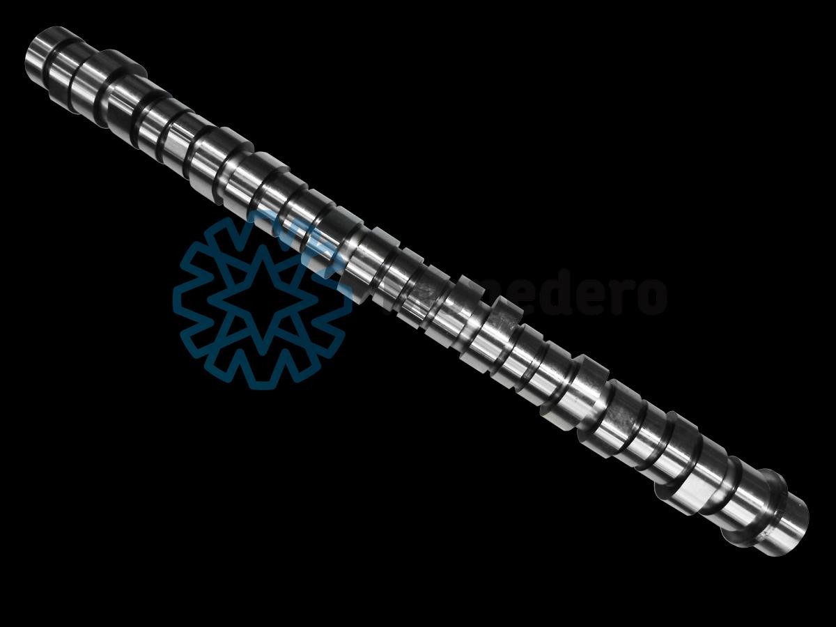 MONEDERO 50013000024 Nockenwelle für RENAULT TRUCKS Kerax LKW in Original Qualität