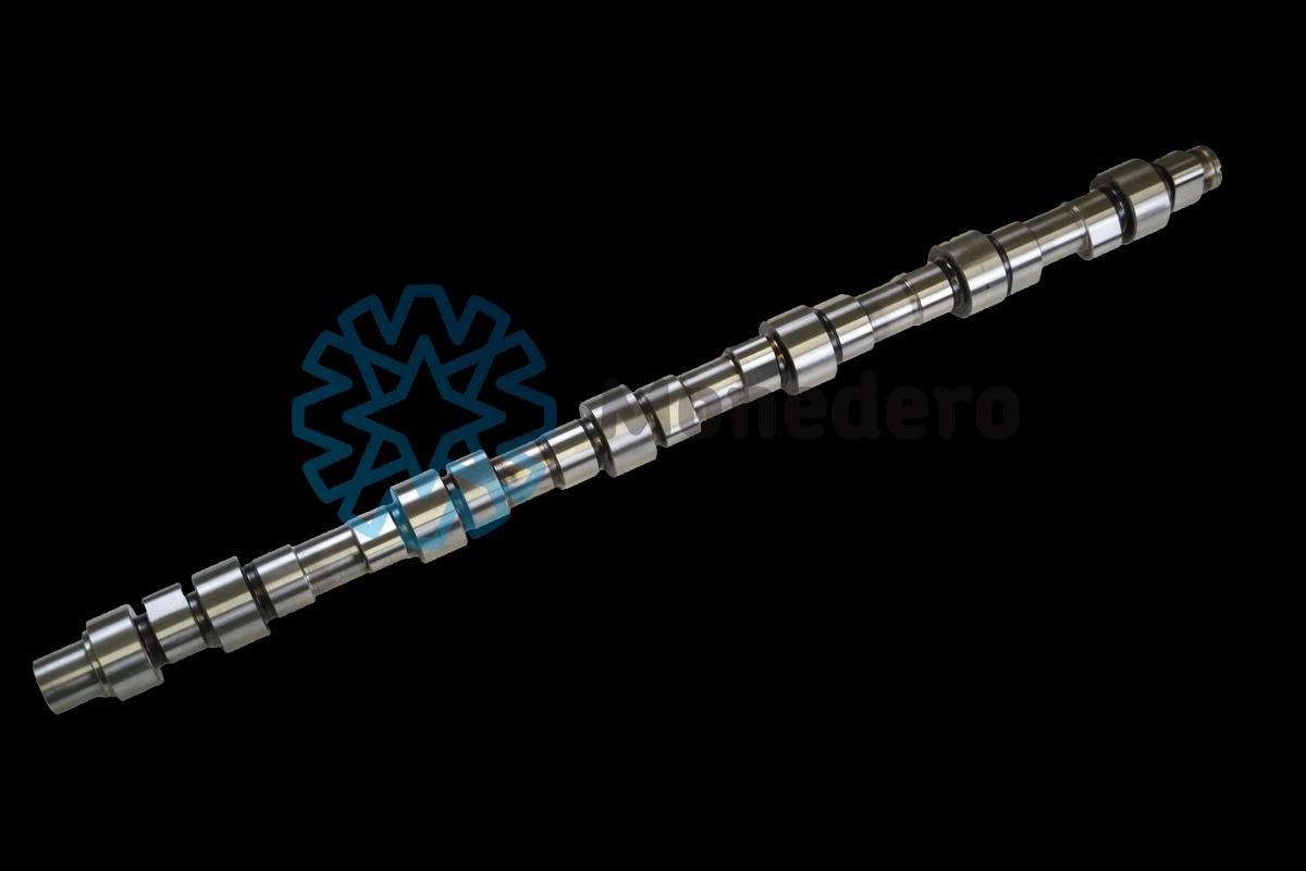 MONEDERO 60013000001 Nockenwelle für RENAULT TRUCKS Premium LKW in Original Qualität