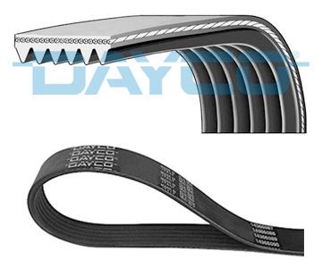 Volkswagen TRANSPORTER V-ribbed belt 17009005 DAYCO 6PK1550S online buy