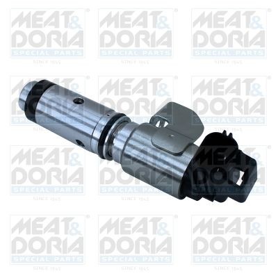Land Rover DEFENDER Camshaft adjustment valve MEAT & DORIA 91595 cheap