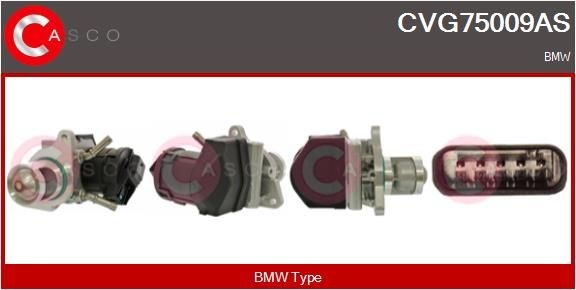 CASCO CVG75009AS EGR BMW F31 325 d 224 hp Diesel 2017 price