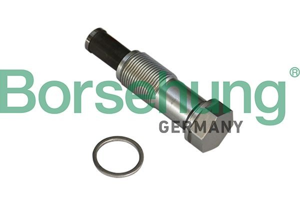 Borsehung B1T020 BMW 5 Series 2018 Cam chain tensioner