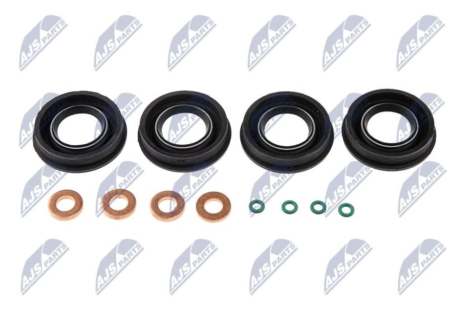 BWP-CT-000 NTY Repair kit, injection nozzle RENAULT with seal ring