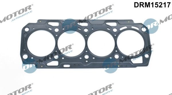 DR.MOTOR AUTOMOTIVE DRM15217 Cylinder head gasket Opel Insignia A g09 2.0 CDTI 163 hp Diesel 2017 price