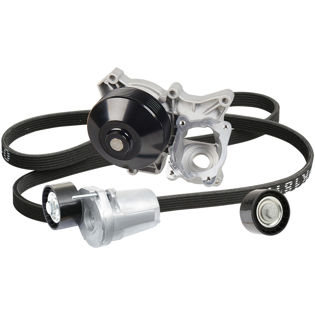 Great value for money - RIDEX Water Pump + V-Ribbed Belt Kit 4172P0078