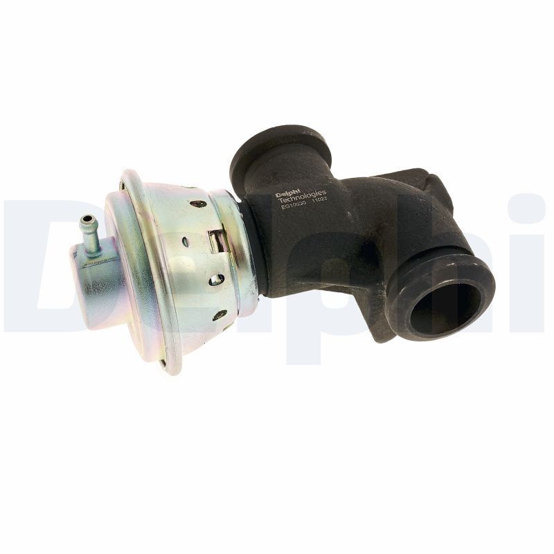 DELPHI without EGR cooler Exhaust gas recirculation valve EG10530-12B1 buy