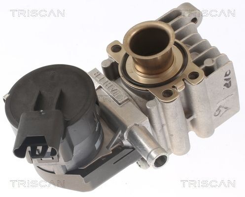 TRISCAN 881311011 Exhaust gas recirculation valve BMW F11 523i 3.0 204 hp Petrol 2009 price