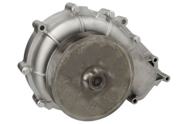THERMOTEC Water pump for engine WP-SC132