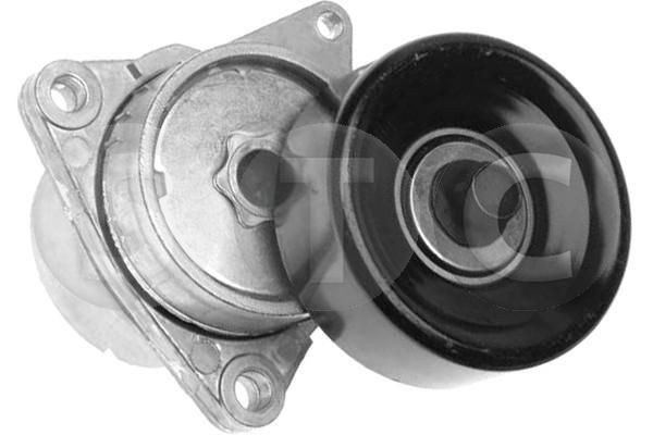 STC T449631 Tensioner pulley 119558J000