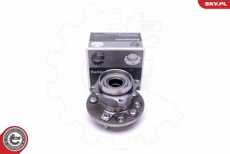 ESEN SKV 29SKV421 Wheel bearing kit 4241050020