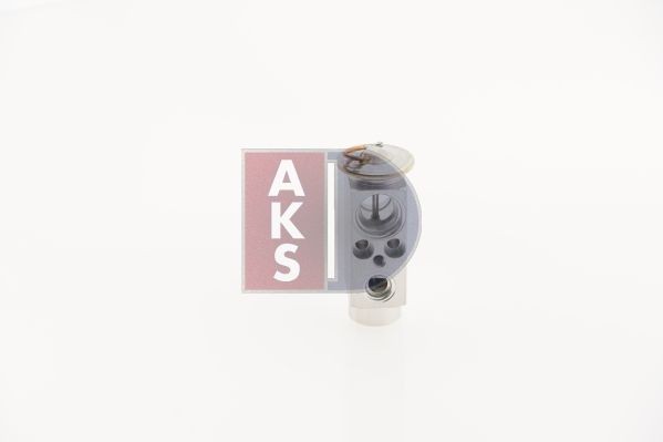 AKS DASIS AC expansion valve 840176N